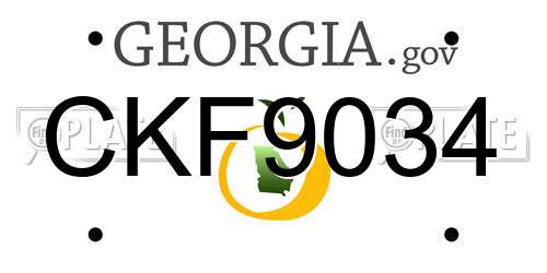 CKF9034 Georgia License Plate