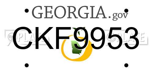 CKF9953 Georgia License Plate