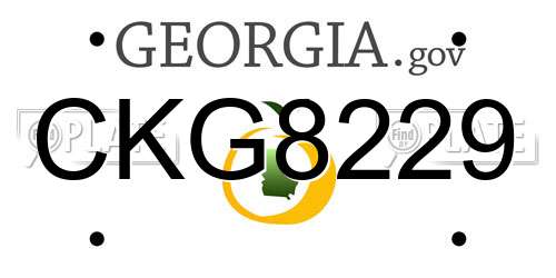 CKG8229 Georgia License Plate