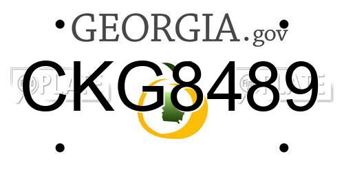 CKG8489 Georgia License Plate