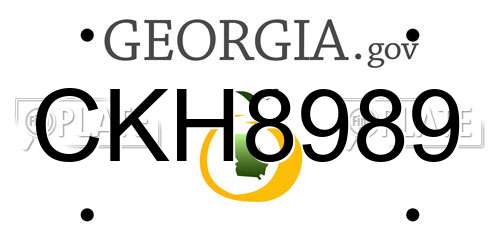 CKH8989 Georgia License Plate