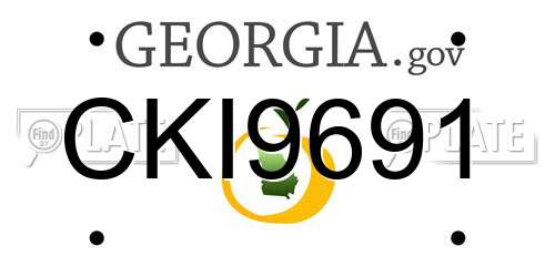 CKI9691 Georgia License Plate