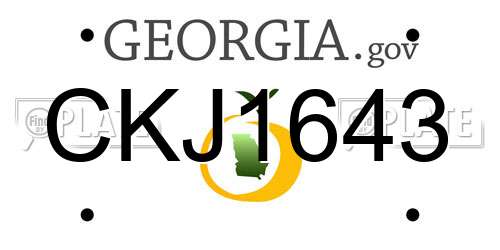 CKJ1643 Georgia License Plate