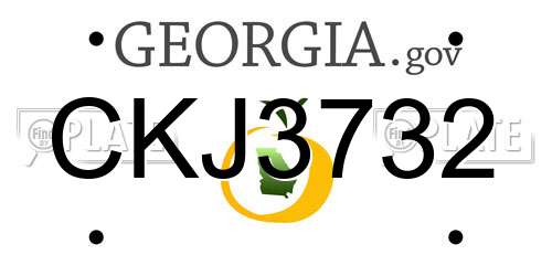 CKJ3732 Georgia License Plate