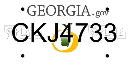 CKJ4733 Georgia License Plate