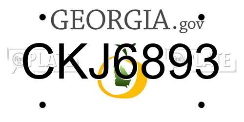 CKJ6893 Georgia License Plate