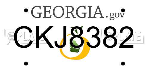 CKJ8382 Georgia License Plate