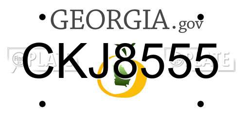CKJ8555 Georgia License Plate