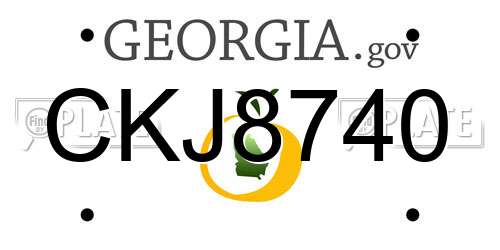 CKJ8740 Georgia License Plate