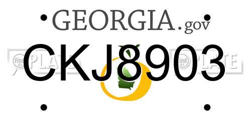 CKJ8903 Georgia License Plate