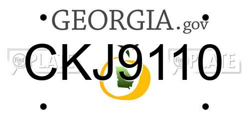 CKJ9110 Georgia License Plate