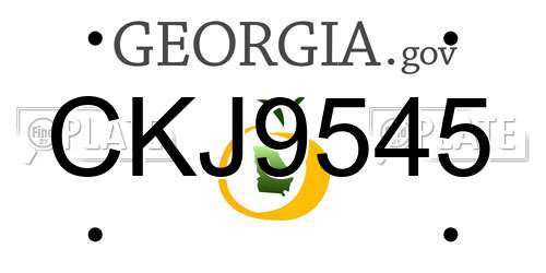 CKJ9545 Georgia License Plate