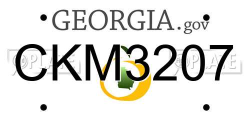 CKM3207 Georgia License Plate