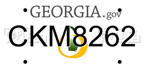 CKM8262 Georgia License Plate