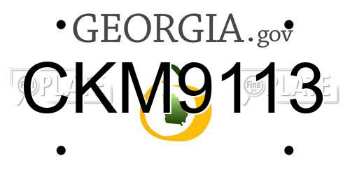 CKM9113 Georgia License Plate