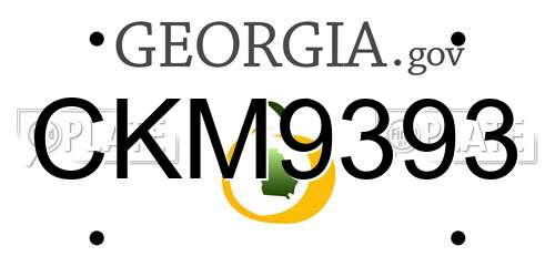 CKM9393 Georgia License Plate