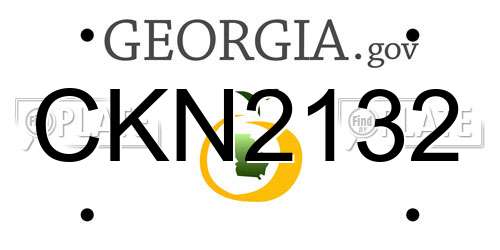 CKN2132 Georgia License Plate
