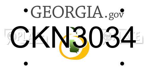CKN3034 Georgia License Plate