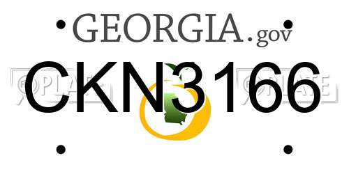 CKN3166 Georgia License Plate