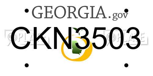 CKN3503 Georgia License Plate