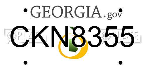 CKN8355 Georgia License Plate