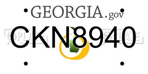CKN8940 Georgia License Plate