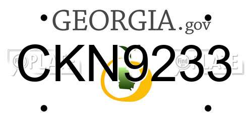 CKN9233 Georgia License Plate