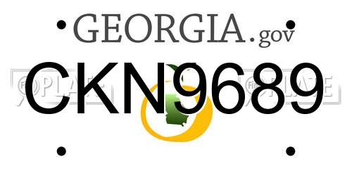 CKN9689 Georgia License Plate