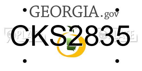CKS2835 Georgia License Plate