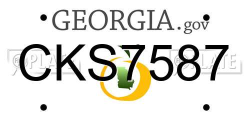 CKS7587 Georgia License Plate