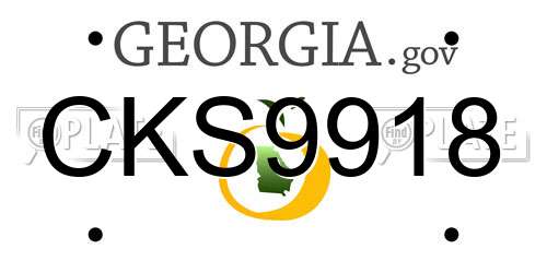CKS9918 Georgia License Plate