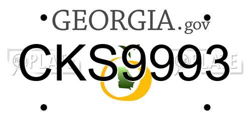 CKS9993 Georgia License Plate