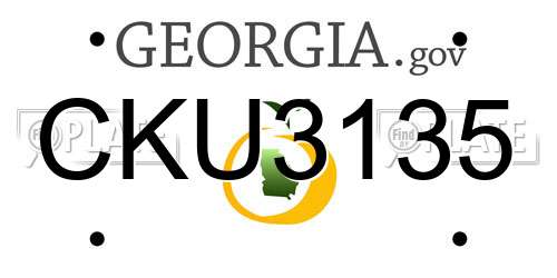 CKU3135 Georgia License Plate