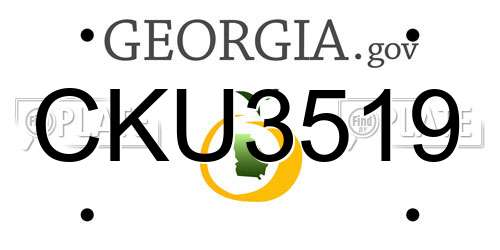 CKU3519 Georgia License Plate