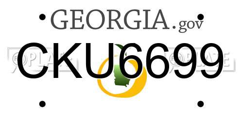 CKU6699 Georgia License Plate