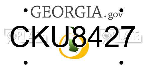 CKU8427 Georgia License Plate
