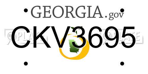 CKV3695 Georgia License Plate