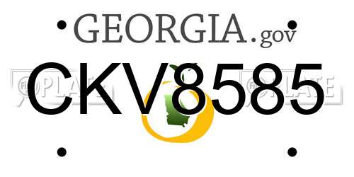 CKV8585 Georgia License Plate