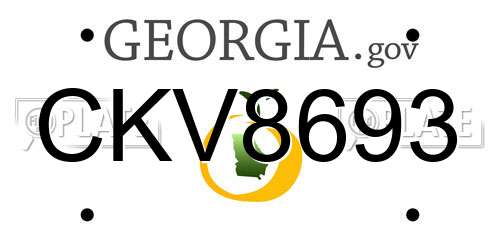 CKV8693 Georgia License Plate