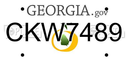 CKW7489 Georgia License Plate