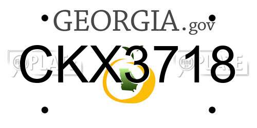 CKX3718 Georgia License Plate