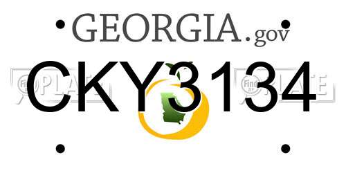 CKY3134 Georgia License Plate