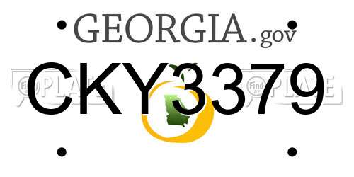 CKY3379 Georgia License Plate
