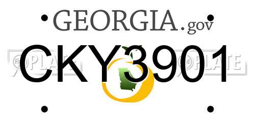 CKY3901 Georgia License Plate