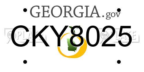 CKY8025 Georgia License Plate
