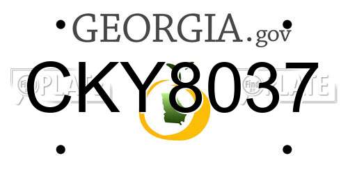 CKY8037 Georgia License Plate