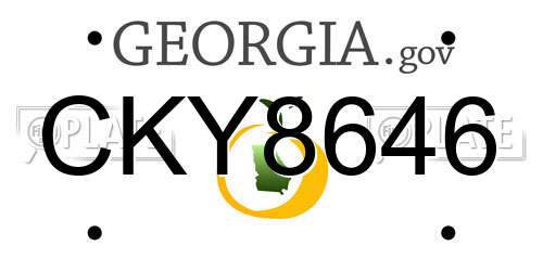 CKY8646 Georgia License Plate