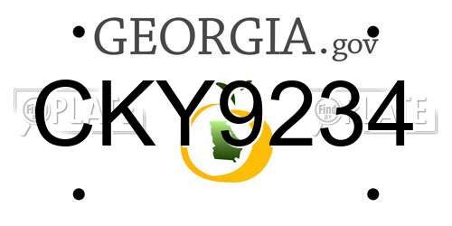 CKY9234 Georgia License Plate