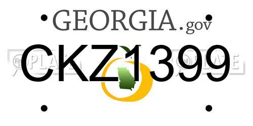 CKZ1399 Georgia License Plate