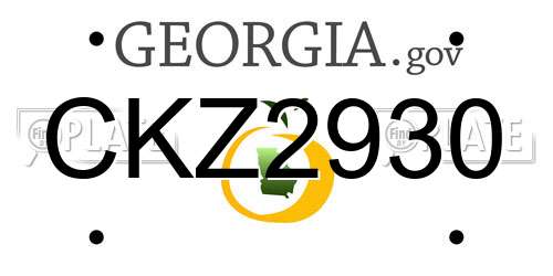 CKZ2930 Georgia License Plate